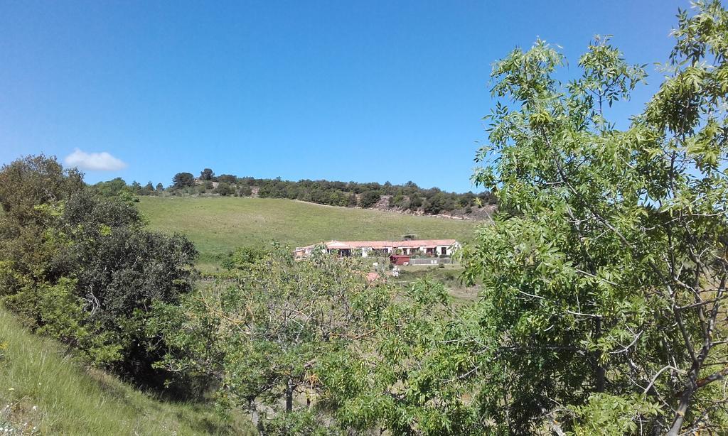 Gites "Entre Les Vignes" Tourreilles Exterior foto